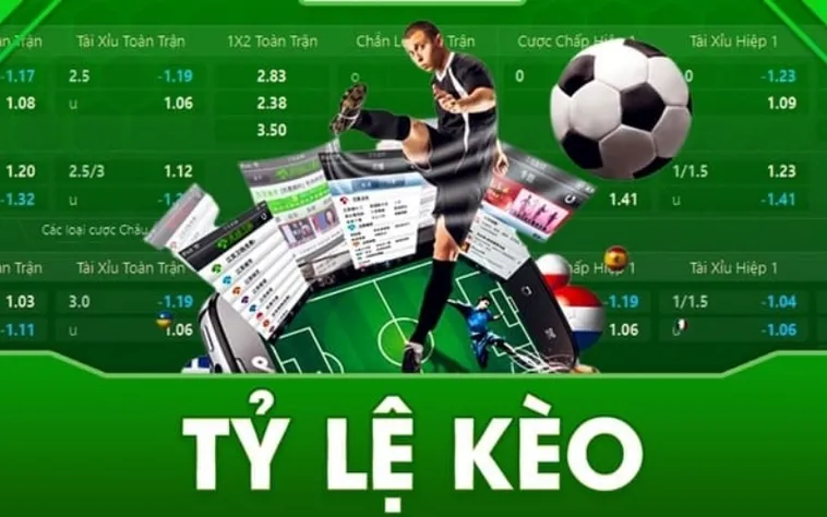 Tỷ lệ kèo trực quan, hiển thị đầy đủ các lựa chọn cho mỗi trận đấu trong ngày.