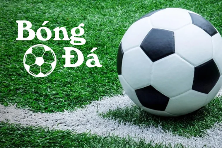 Hiểu Rõ Sự Khác Biệt Giữa Bóng Trong Cuộc Và Bóng Ngoài Cuộc
