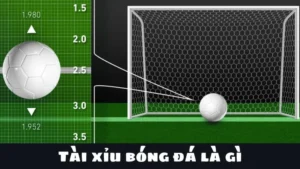 Cách Chơi Kèo Tài Xỉu Bóng Đá Hiệu Quả Cho Người Mới Và Cao Thủ