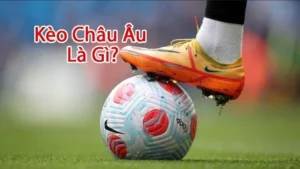 Cách Chơi Kèo Châu Âu Hiệu Quả Cho Người Mới Và Người Có Kinh Nghiệm