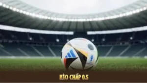 Cách Chơi Kèo Chấp 0.5 Chuẩn Xác Cho Người Mới Hiểu Rõ Và Dễ Thắng