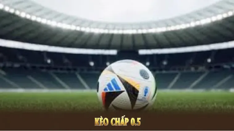 Cách Chơi Kèo Chấp 0.5 Chuẩn Xác Cho Người Mới Hiểu Rõ Và Dễ Thắng