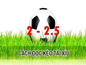 Cách Chơi Kèo 2.25 Hiểu Rõ Tỷ Lệ, Phân Tích Chuẩn Xác Để Thắng Lớn