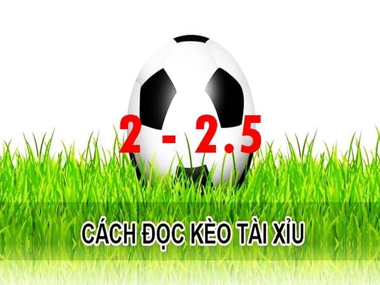 Cách Chơi Kèo 2.25 Hiểu Rõ Tỷ Lệ, Phân Tích Chuẩn Xác Để Thắng Lớn