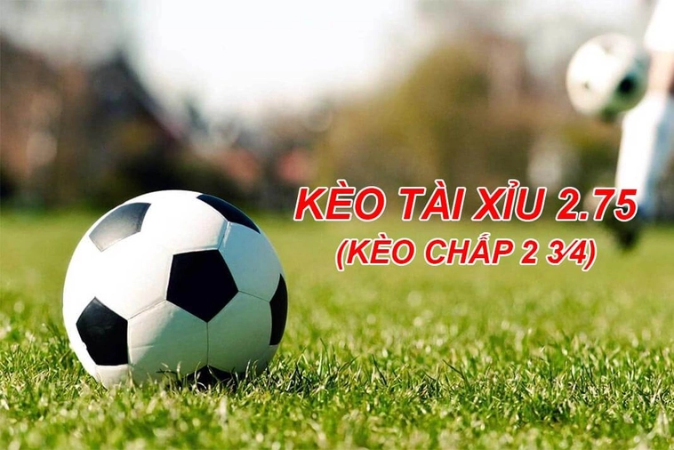 Cách Chơi Kèo 2.75 Chuẩn Xác Nhất Cho Người Mới Bắt Đầu Cá Cược