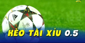 Cách Chơi Kèo Tài Xỉu Chuẩn Xác Và Hiệu Quả Nhất Cho Người Mới
